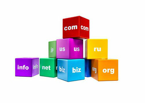Domain Registration in Aluva