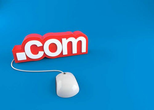 Domain Registration Angamaly